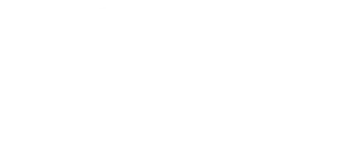 The Body Esthetics